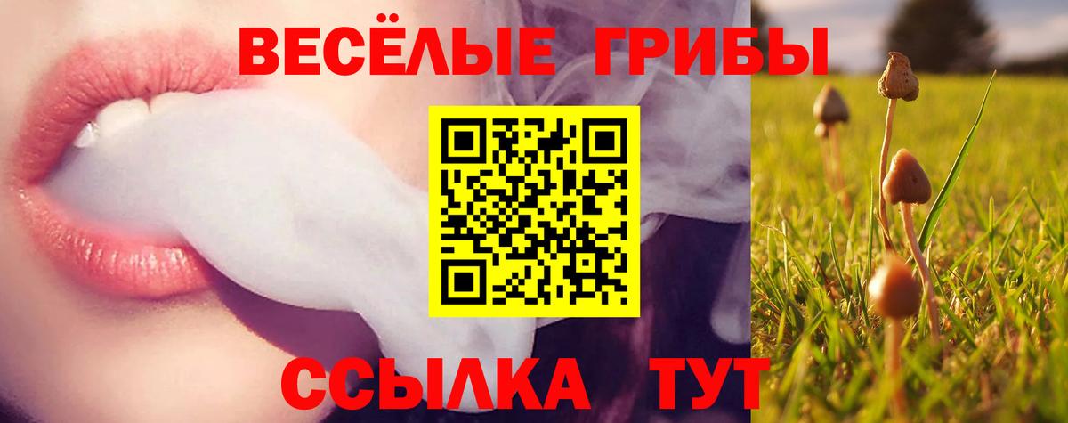 Галлюциногенные грибы мицелий Кашира