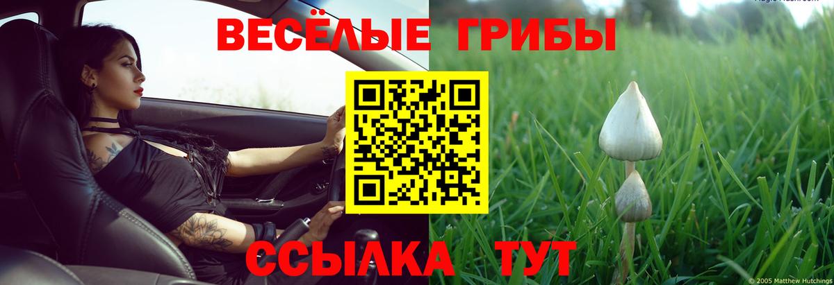 Галлюциногенные грибы GOLDEN TEACHER  Вход с VPN  Кашира 